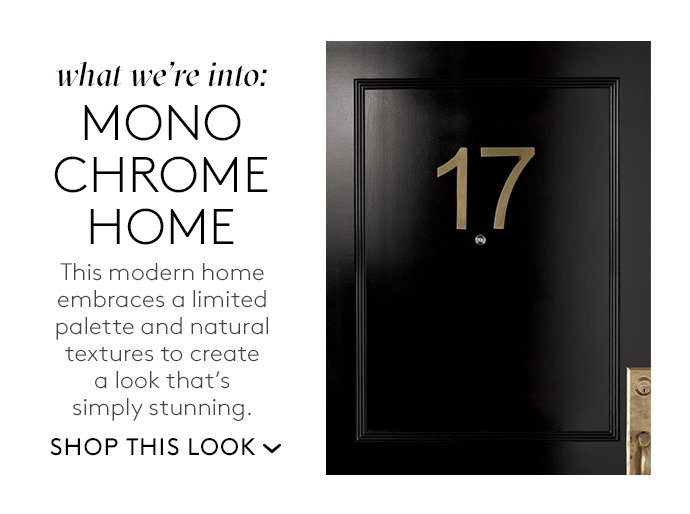 what we're into: mono chrome home