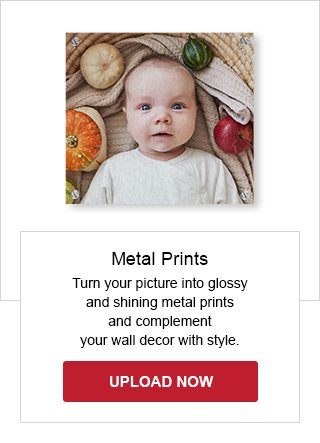 Metal Prints