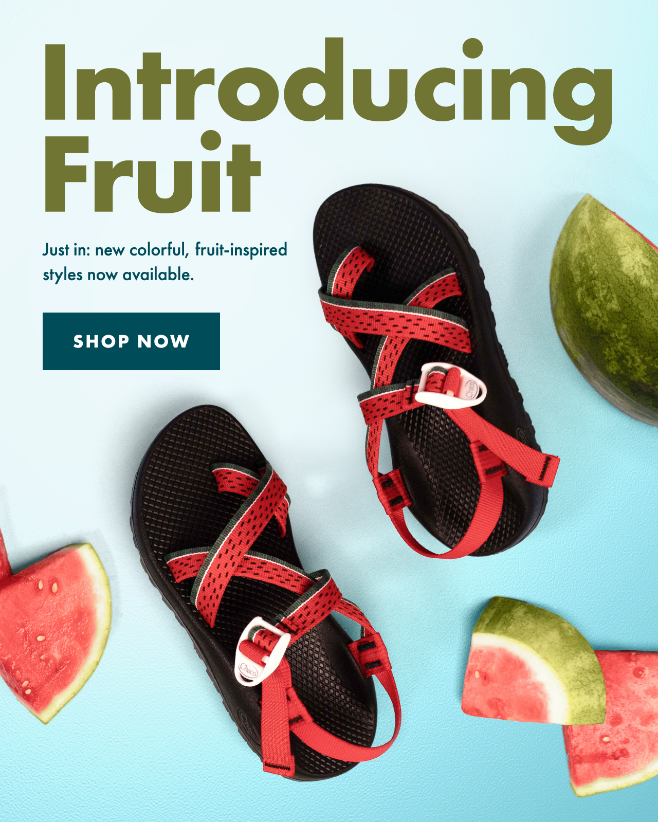 Introducing Fruit. Just in: new colorful, fruit-inspired styles now available. SHOP NOW