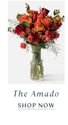 The Amado