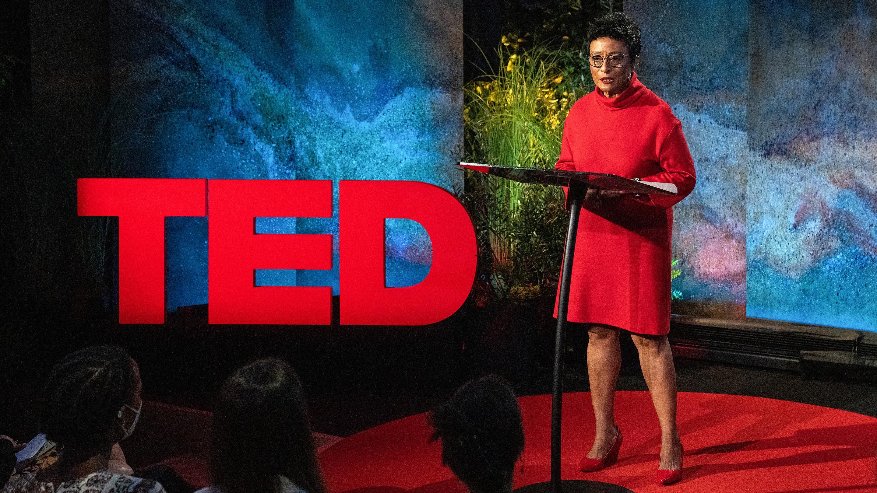 An idea from TED by Peggy Shepard entitled How to build an equitable and just climate future