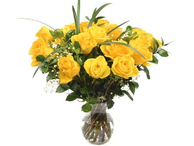 18 Fresh Yellow Roses without Vase
