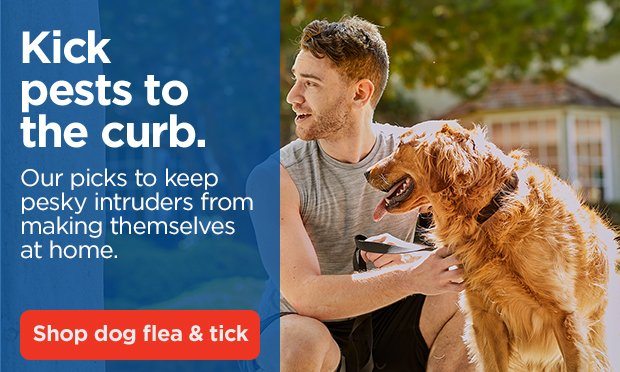 Kick pests to the curb. Our picks to keep pesky intruders from making themselves at home. Shop dog flea & tick.