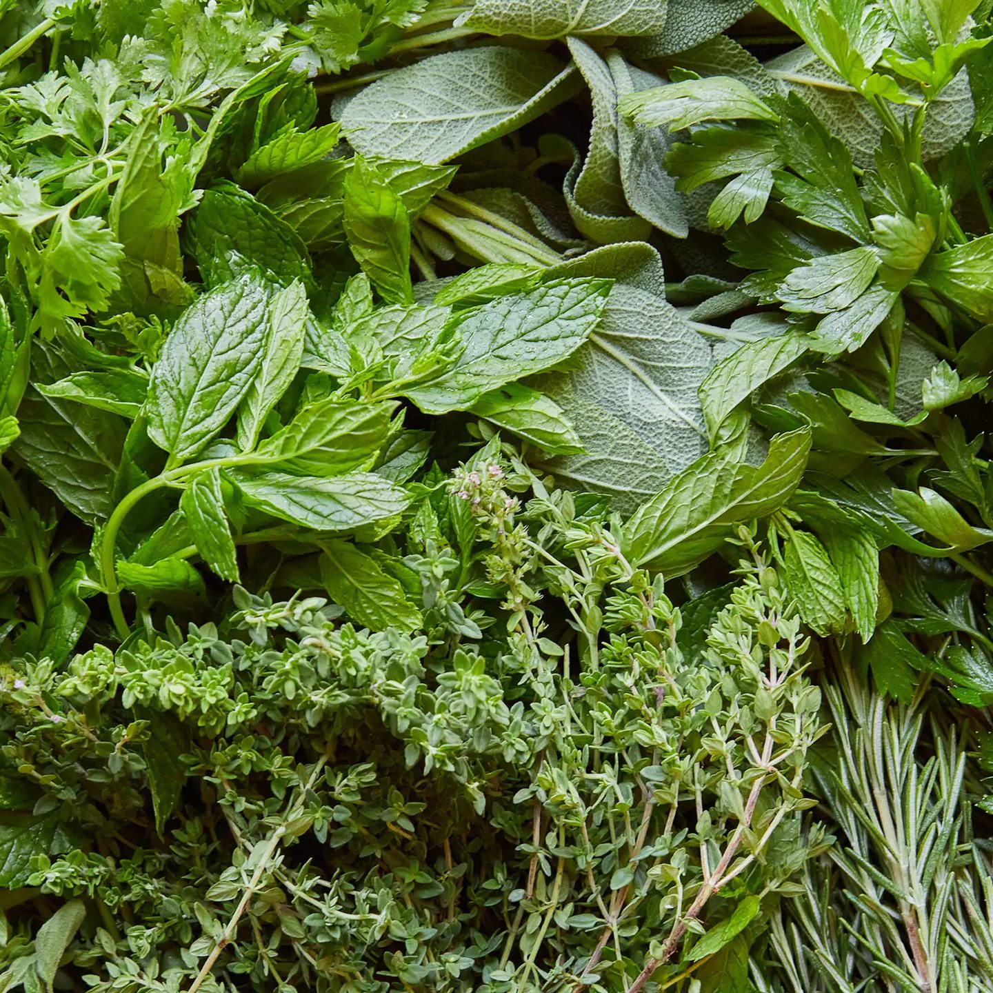 How to Use Up Fresh Herbs Before They Go Bad