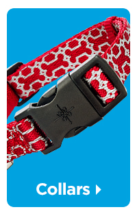 Shop collars >