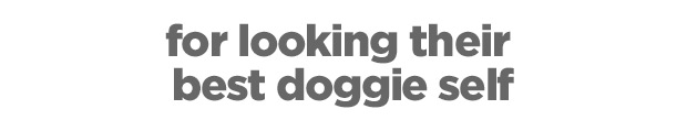 For looking their best doggie self
