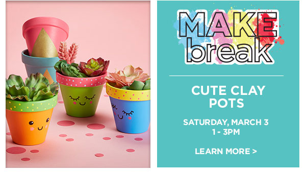 MAKE break Cute Clay Pots