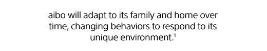 aibo will adapt to its family and home over time, changing behaviors to respond to its unique environment.¹