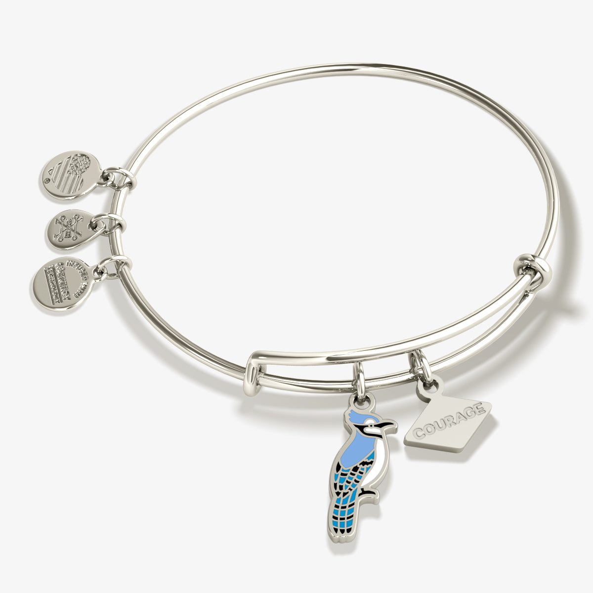 Image of 'Courage' Blue Jay Duo Charm Bangle Bracelet