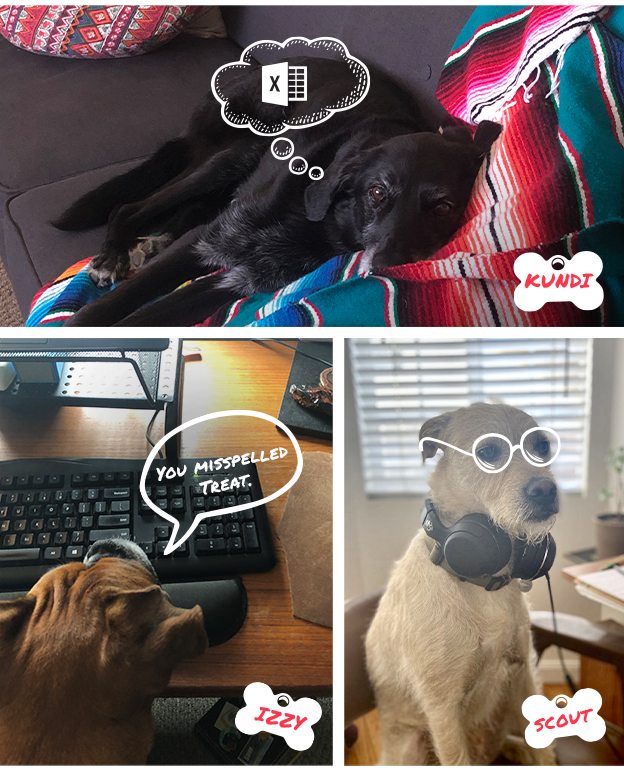 Woof from home.