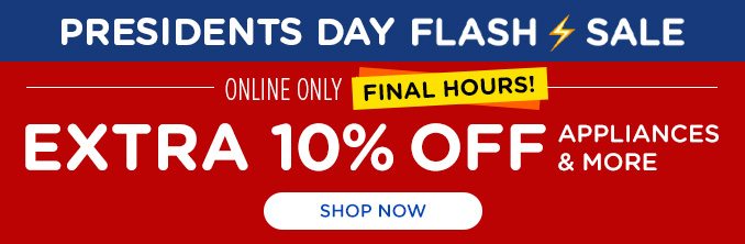 PRESIDENTS DAY SALE FLASH SALE