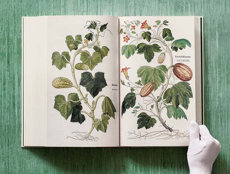 TASCHEN