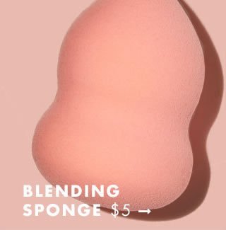 Blending Sponge