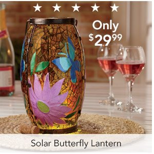 Solar Butterfly Lantern Only $29.99