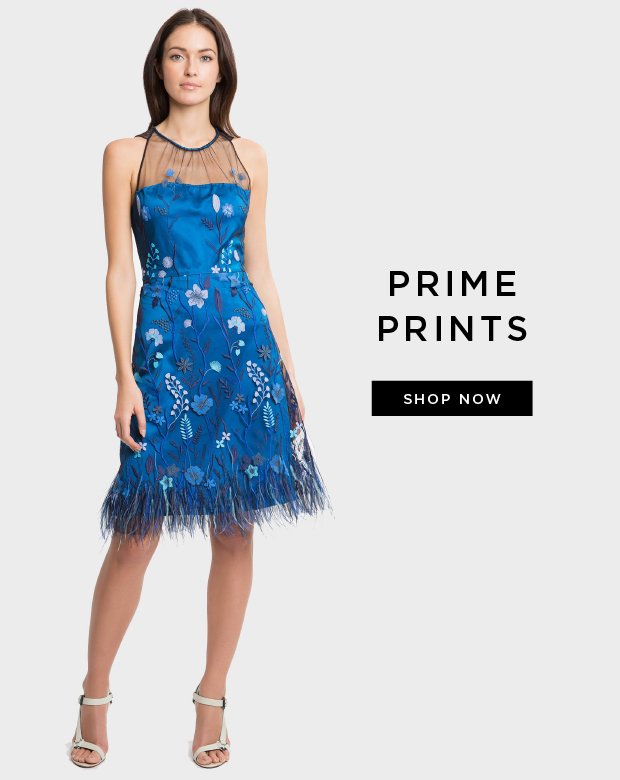 Prime Prints