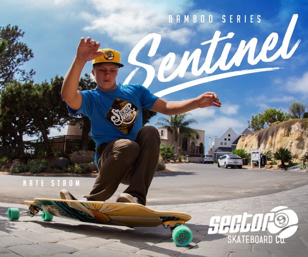 Sector 9