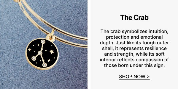 Cancer Zodiac Charm Bangle | Shop Now