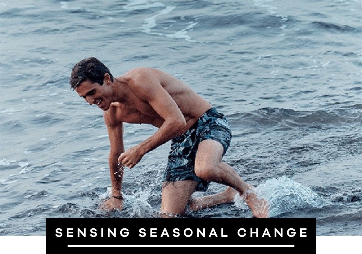 Shop Swim New Arrivals