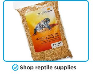 Shop reptile supplies.