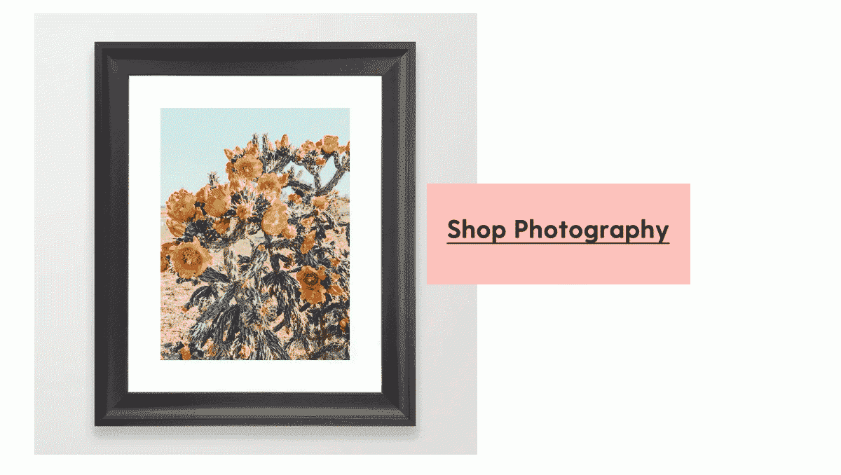 Shop Photography