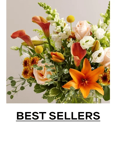 bestsellers