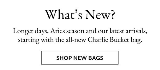 WHAT'S NEW? | SHOP NEW BAGS