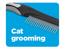 Shop cat grooming >