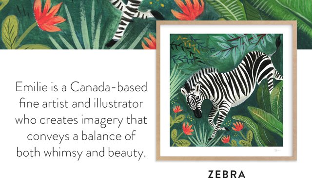 Zebra