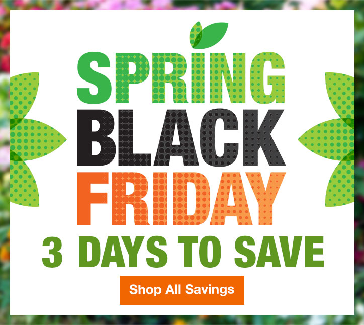 SPRING BLACK FRIDAY SHOP ALL