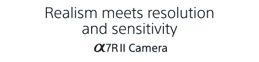 Realism meets resolution and sensitivity | Alpha 7R II Camera