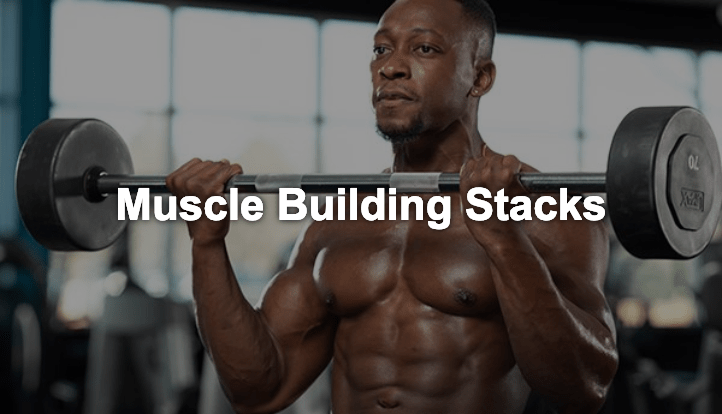Muscle Building Stacks