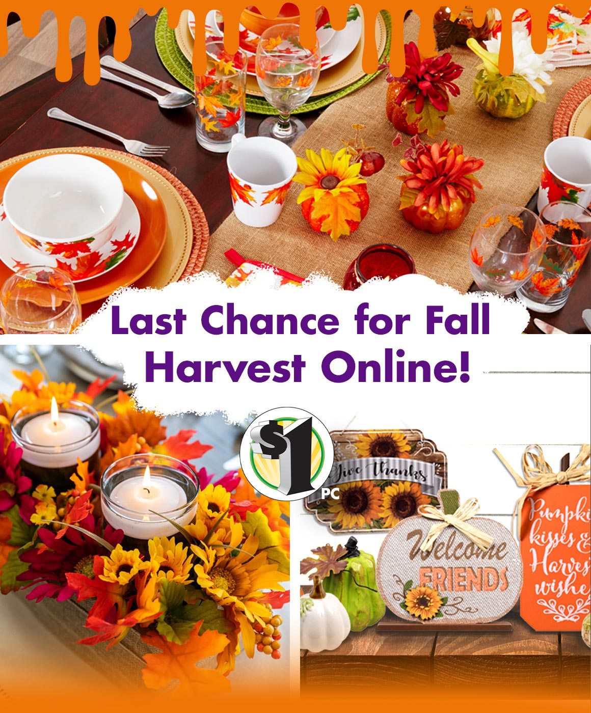 Shop Fall Harvest Online!