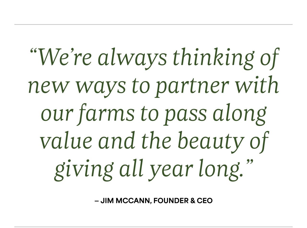 JIM MCCANN, FOUNDER & CEO