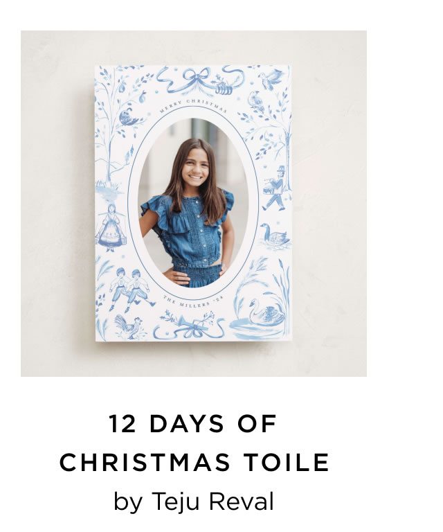 12 Days of Christmas Toile