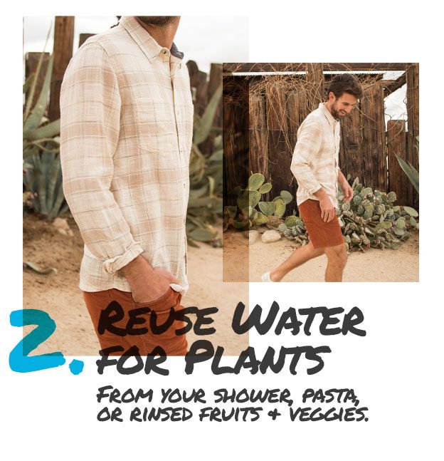 Reuse Water For Plants