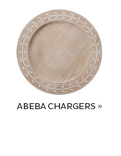 Abeba Chargers