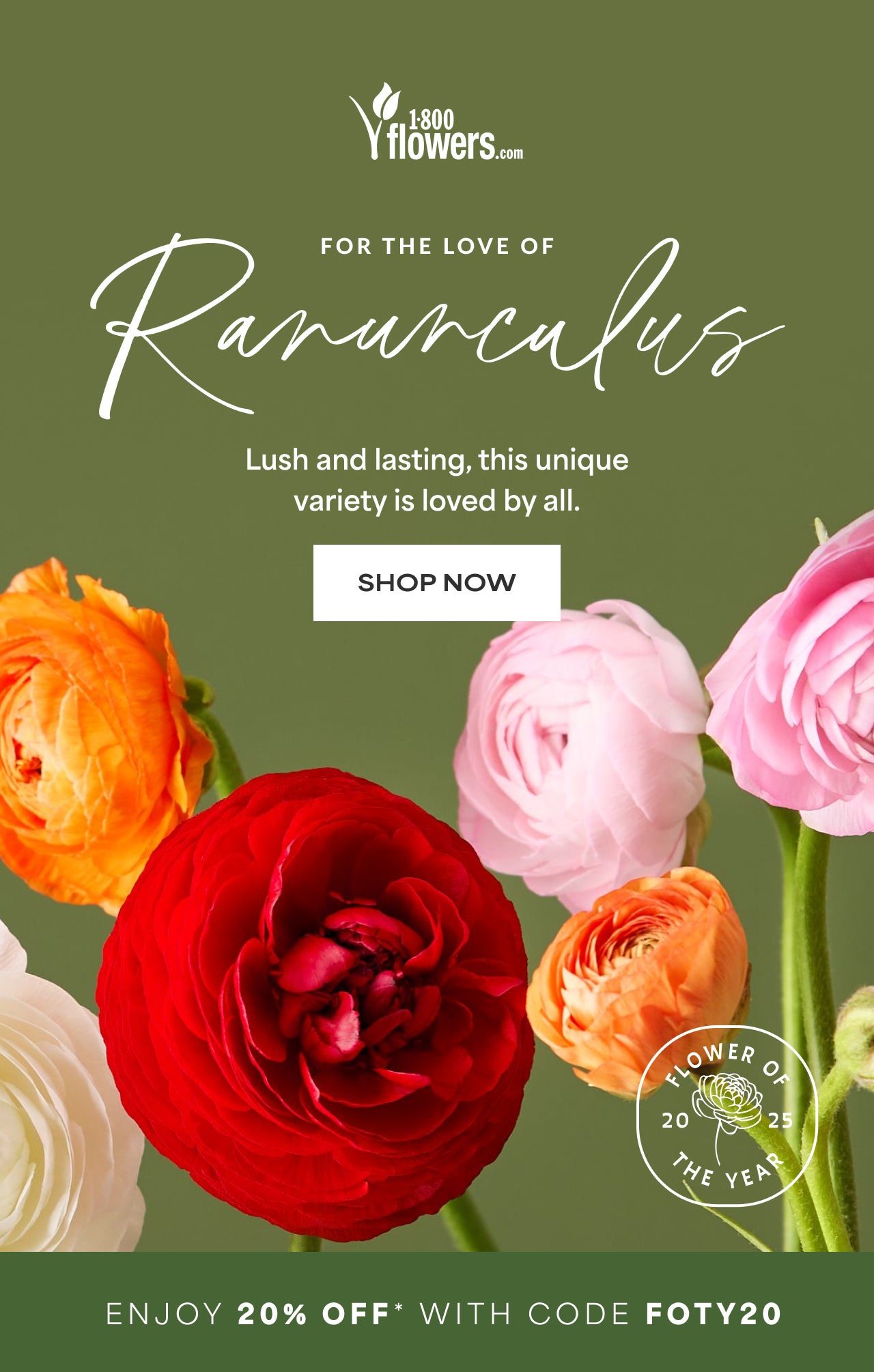 For the Love of Ranunculus | Enjoy 20% Off with code FOTY20 | Shop Now