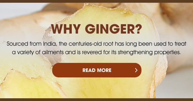 WHY GINGER? - Sourced from India, the centuries-old root has long been used to treat a variety of ailments and is revered for its strengthening properties. - READ MORE >