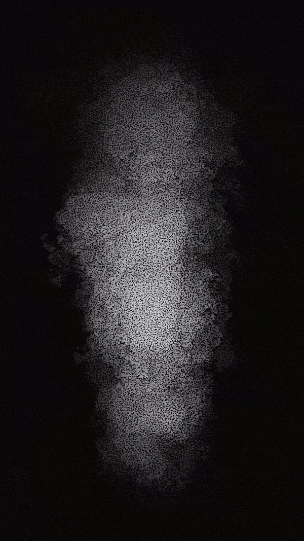 Carbon Statement