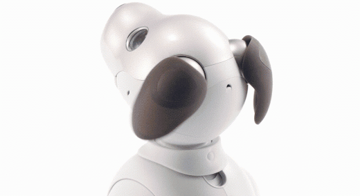 Turn on images for your first look at aibo