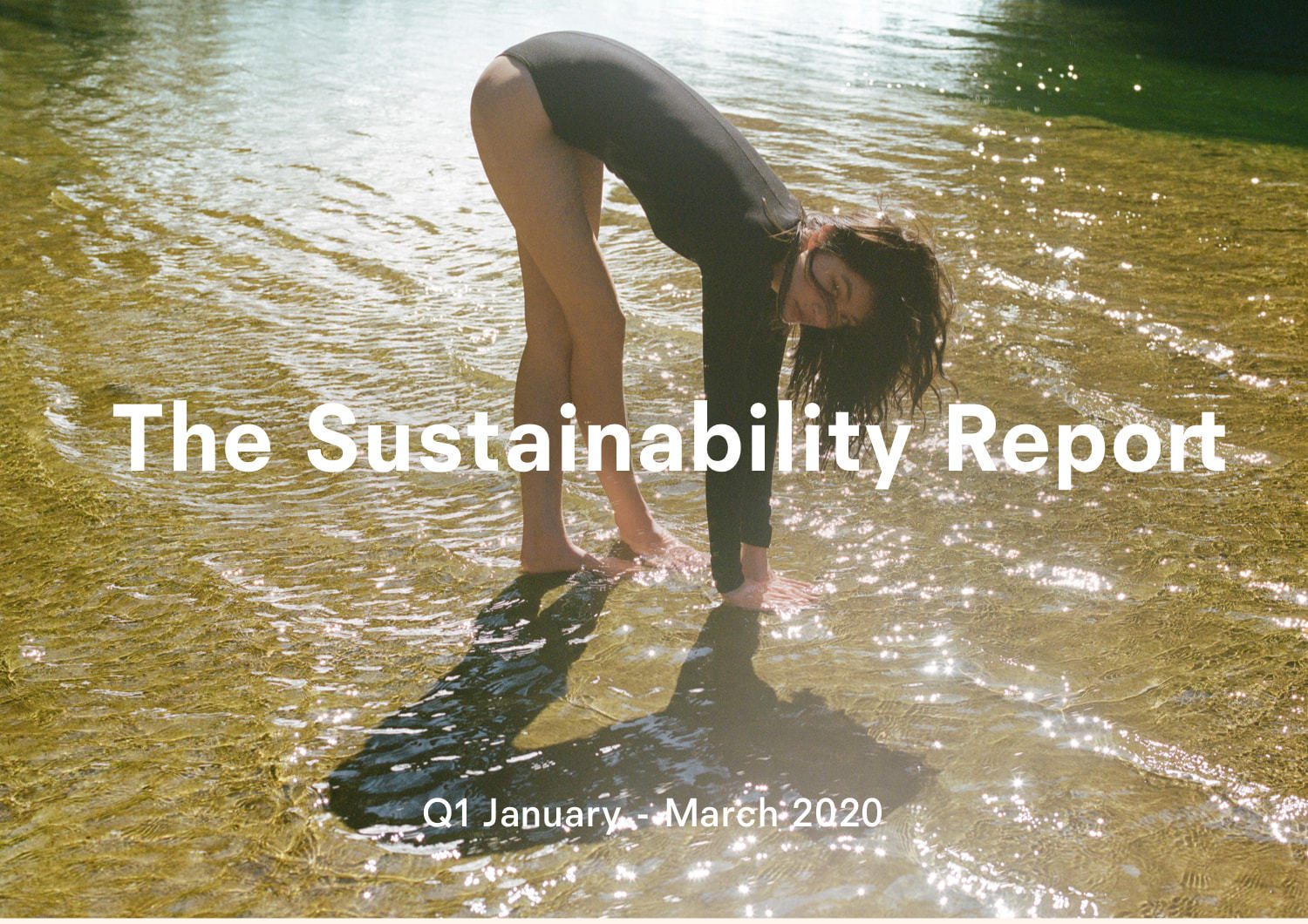 The sustainability report