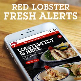 Red lobster fresh alerts