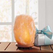 $29.99 | SHIPS FREE |Large Ionic Natural Salt Crystal Lamp | SHOP NOW