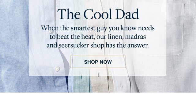 THE COOL DAD