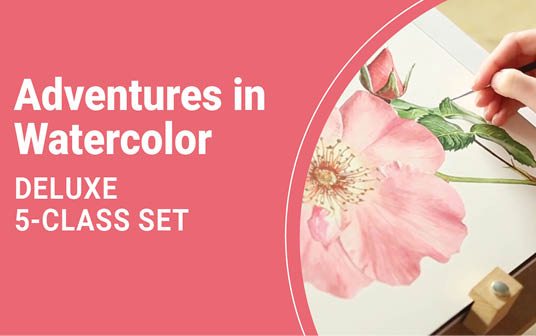 60% Off Class Sets