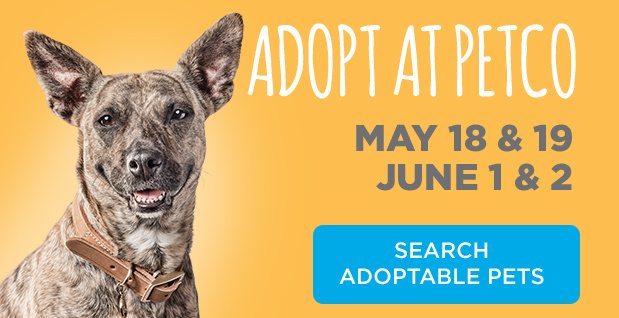 Search Adoptable Pets.