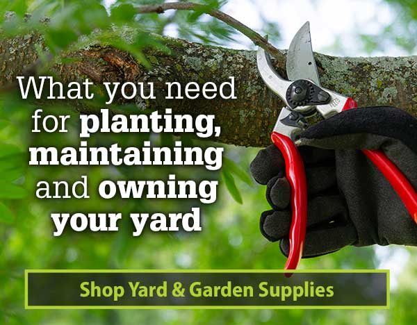 What you need for planting, maintainingand owning your yard