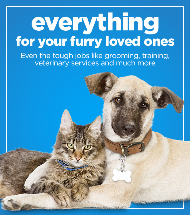 Everything for your furry loved ones. Even the tough jobs like grooming, training, veterinary services and much more.