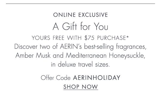 Holiday Entertaining at Home with Aerin Lauder Est e Lauder