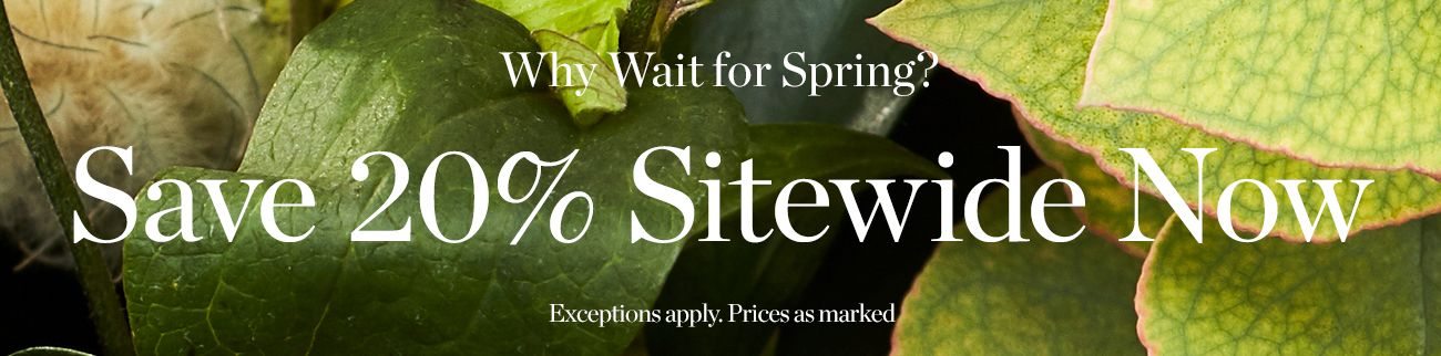 20% off sitewide